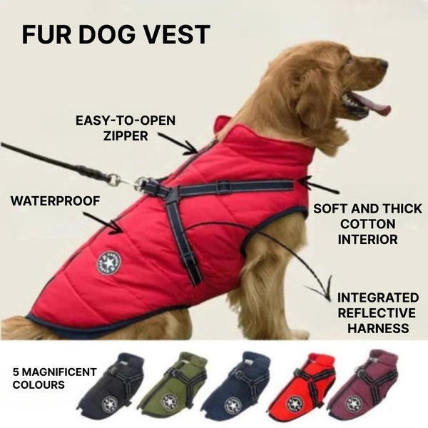 Dog Jacket