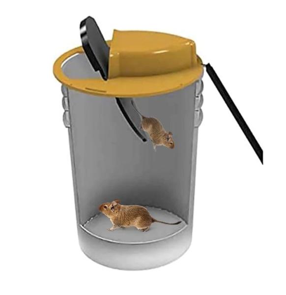 Bucket Lid Mouse Trap
