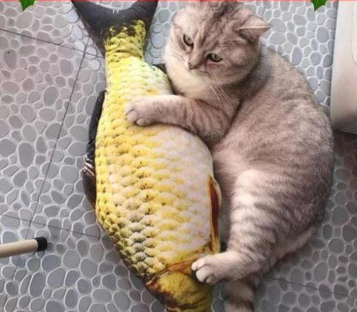 Realistic Flopping Fish Toy for Cats